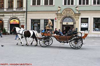 IMG_ (11193)